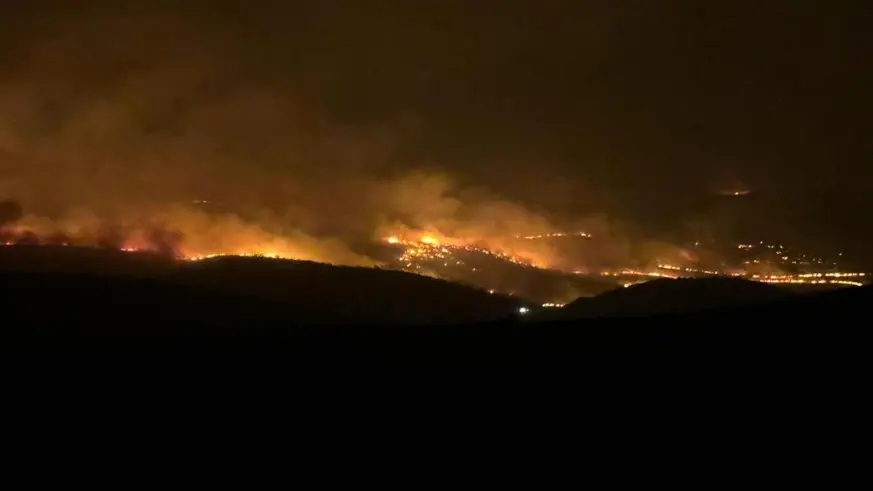 Diyarbakır’da gece başlayan yangın söndürüldü