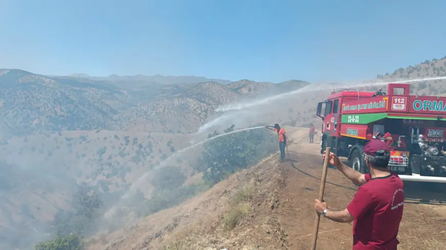 Bingöl'ün 2 ilçesinde çıkan orman yangınlarına müdahale ediliyor