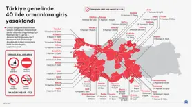 Türkiye genelinde 40 ilde ormanlara giriş yasaklandı