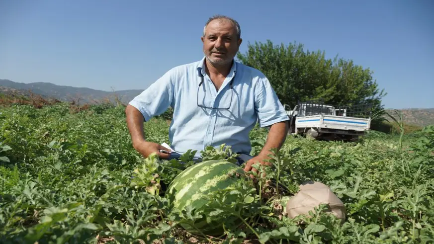 Adana'nın sıcağı Aydın'a yaradı