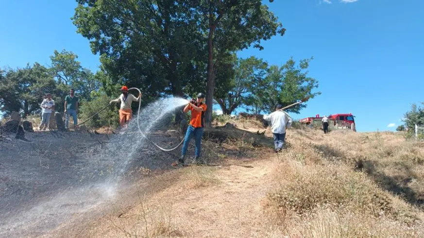 Bingöl’de kırsal alanda çıkan yangın söndürüldü