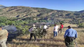 Köylerinde çıkan yangını söndürmek için insan zinciri oluşturdular