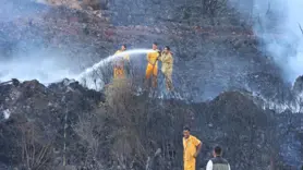 Muğla'nın Marmaris ilçesinde çıkan orman yangını söndürüldü