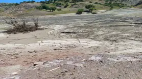 Diyarbakır’da bataklıkta mahsur kalan katır böyle kurtarıldı