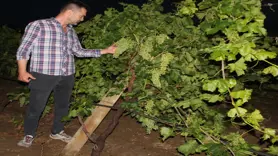 Manisa'da sağanak ve dolu tarım arazilerinde zarara yol açtı