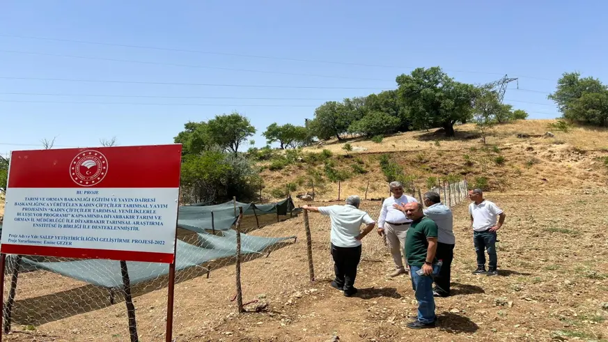 Siirt’te salep üretimi yapılacak