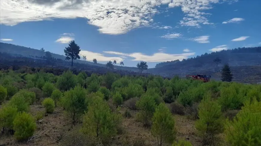 Manisa'nın Soma ilçesindeki orman yangını kontrol altına alındı