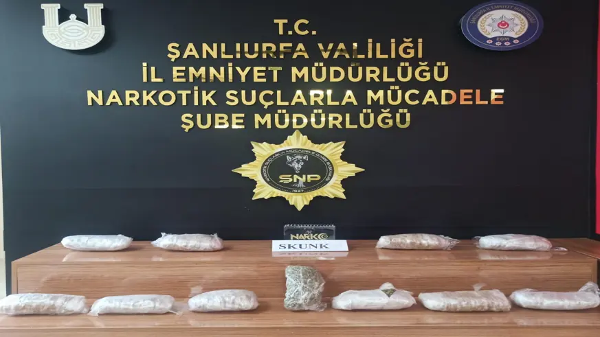 Şanlıurfa'da 6 kilo 550 gram skunk ele geçirildi