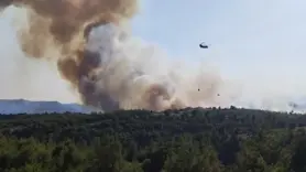 Adana'da çıkan orman yangınına müdahale ediliyor