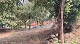 Adıyaman'da anız yakan kişiye gözaltı