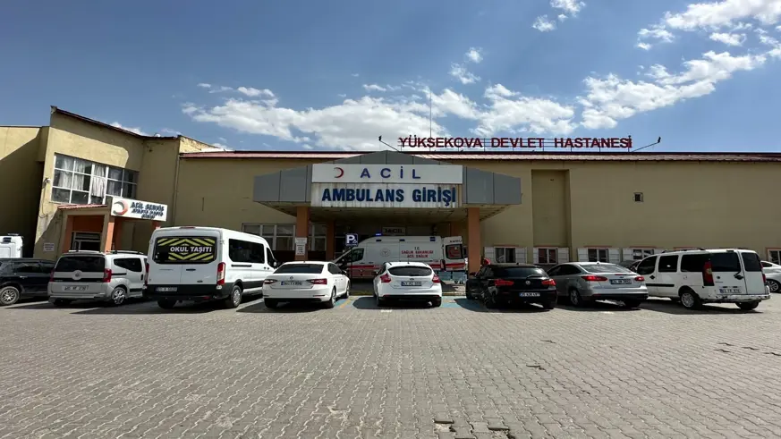 Hakkari Yüksekova'da mayına basan çoban hayatını kaybetti