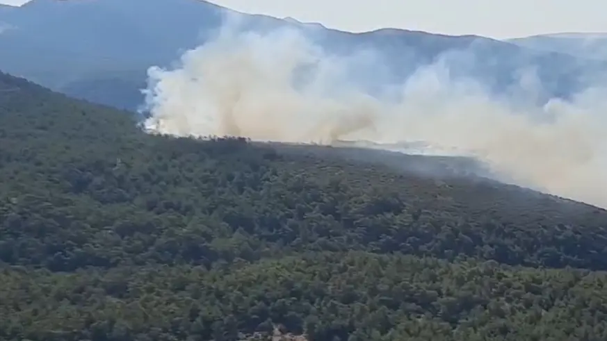 Muğla'nın Milas ilçesinde orman yangını çıktı