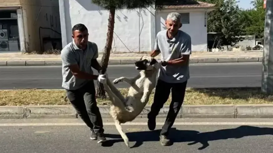 Diyarbakır Silvan Belediyesinin o skandal paylaşımı kaldırıldı!