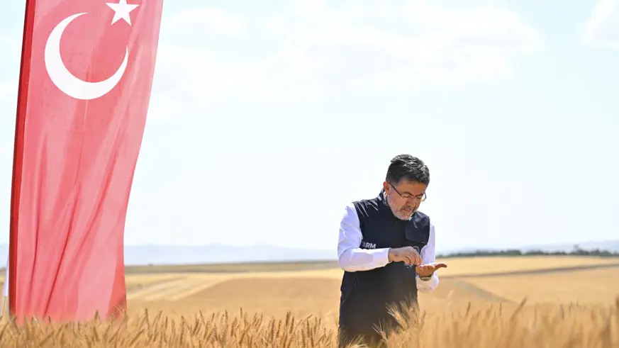 Bakan Yumaklı yerli ve milli buğday çeşitlerinin hasadına katıldı