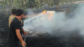 İzmir'de çıkan yangından 18 dönüm etkilendi