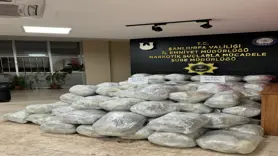 Şanlıurfa'da şüpheli araçtan 461 kilo skunk maddesi çıktı