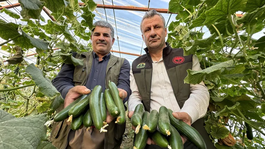 Hakkari Yüksekova'da seracılık gelişiyor