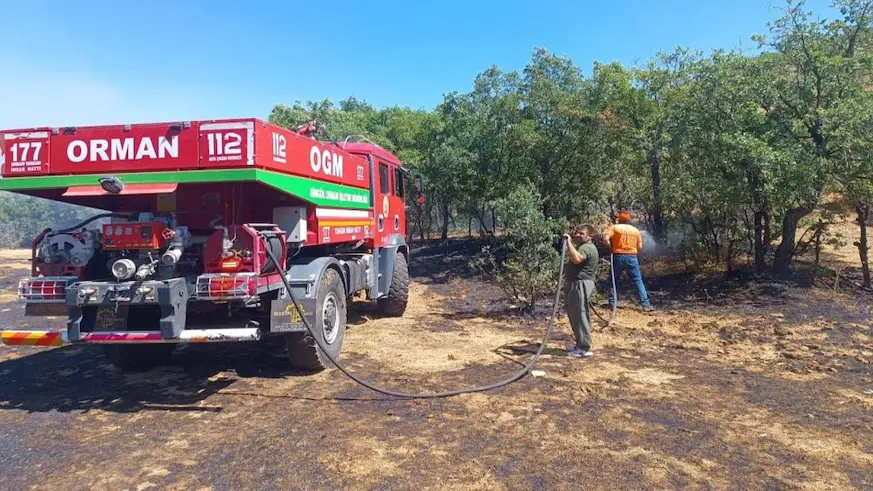 Bingöl’de 6 bölgede çıkan yangınlar söndürüldü