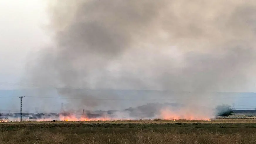 Diyarbakır’da anız yangını