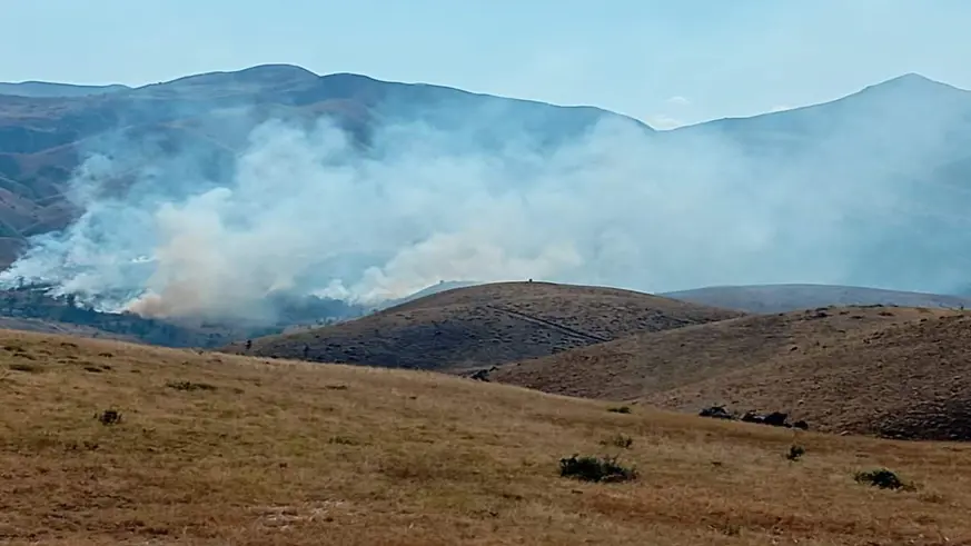 Son dakika haberi; Tunceli’de yangın