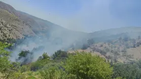 Diyarbakır'da Çınar'ın ardından Çüngüş'te üzüm bağlarında yangın