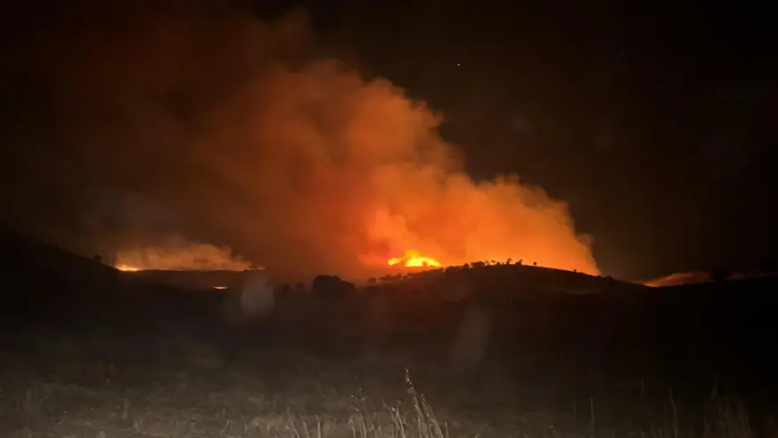 Mardin'de 2 farklı noktada çıkan anız ve ot yangını söndürüldü