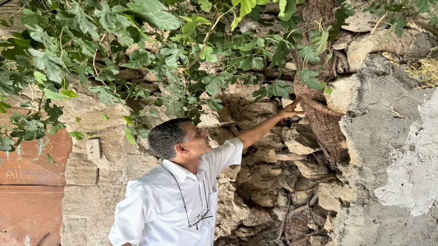 Mardin'de incir ağaçları tarihi yapılara veriyor