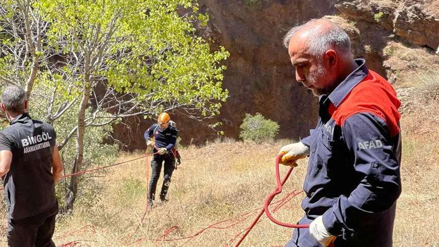 Kayalıkta mahsur kalan 3 keçiyi AFAD ekipleri kurtardı