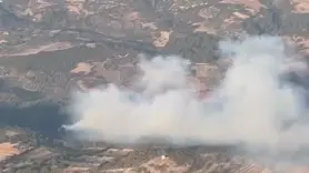 Mardin’de ormanlık alanda çıkan yangın devam ediyor