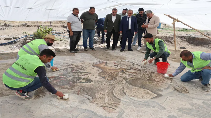 Türkiye'de bir ilk Elazığ'da gerçekleşti: Tek parça halinde 84 metrekarelik mozaik gün yüzüne çıkarıldı