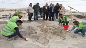 Türkiye'de bir ilk Elazığ'da gerçekleşti: Tek parça halinde 84 metrekarelik mozaik gün yüzüne çıkarıldı