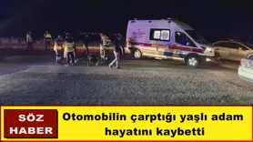 Otomobilin çarptığı yaşlı adam  hayatını kaybetti