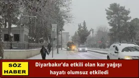Diyarbakır'da kar yağışı etkili oldu