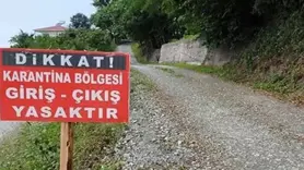 Tunceli’nin Pertek ilçesinde şap hastalığı