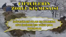 Çiftçilerin zorlu kış mesaisi