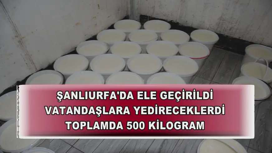 Şanlıurfa'da ele geçirildi