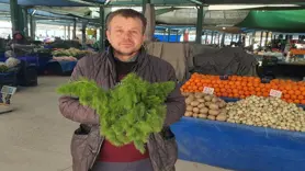 Kendiliğinden yetişen çaşır otu yok satıyor