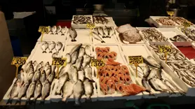 Mezgit ve istavrit kilogramı 250 liradan satılıyor