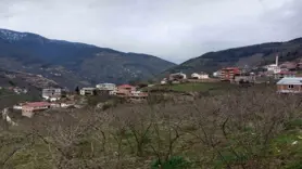 35 yıl sonra Giresun'a bağlandılar