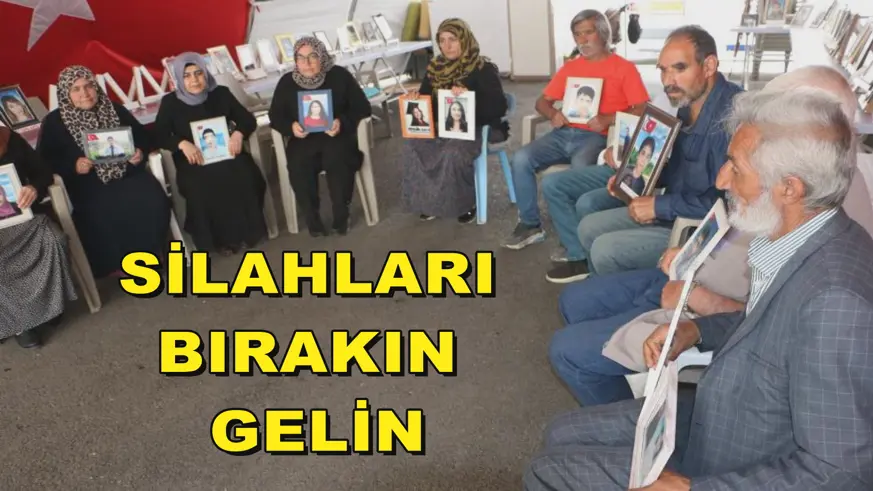 Silahları bırakın gelin