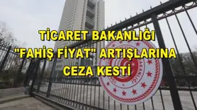 Ticaret Bakanlığı, 