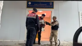 Yaralı kartal tedavi altına alındı