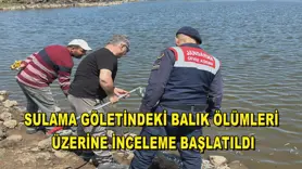 Sulama göletindeki balık ölümleri üzerine inceleme başlatıldı