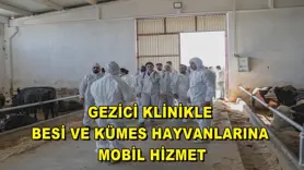 Gezici klinikle besi ve kümes hayvanlarına mobil hizmet