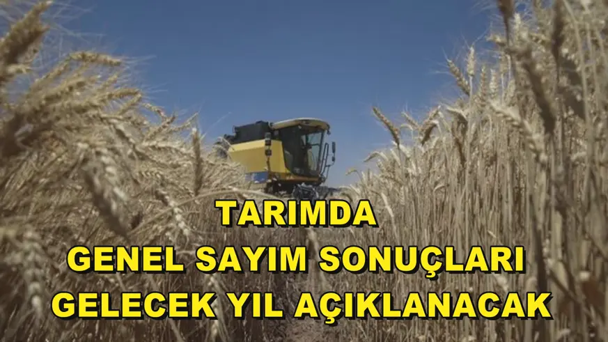 Tarımda genel sayım sonuçları gelecek yıl açıklanacak