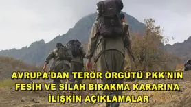 Avrupa'dan terör örgütü PKK'nın fesih ve silah bırakma kararına ilişkin açıklamalar