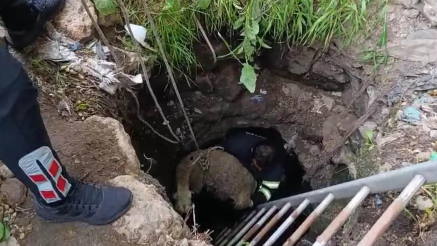Kuyuya düşen koyun itfaiye ekipleri tarafından kurtarıldı