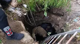 Kuyuya düşen koyun itfaiye ekipleri tarafından kurtarıldı