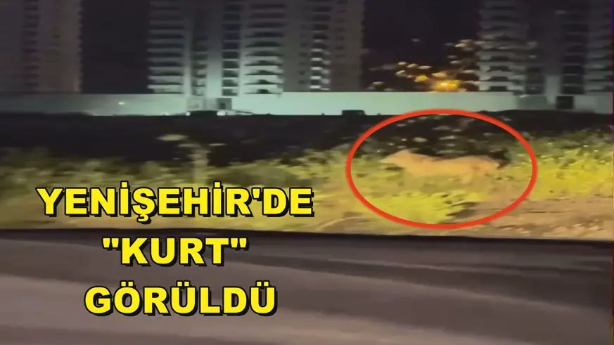Yenişehir'de 