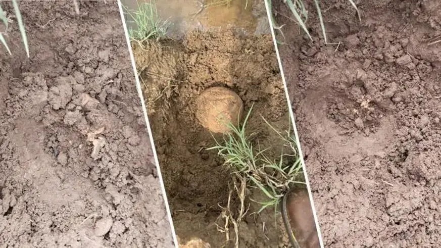 İnsan kemikleri ATK’ye gönderildi
